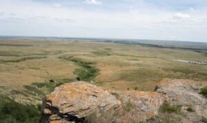 Expansive view of a flat, grassy plain with scattered rocks in the foreground and a distant horizon under a partly cloudy sky. A dirt road is seen cutting through the landscape, reminiscent of scenes near Head-Smashed-In Buffalo Jump.