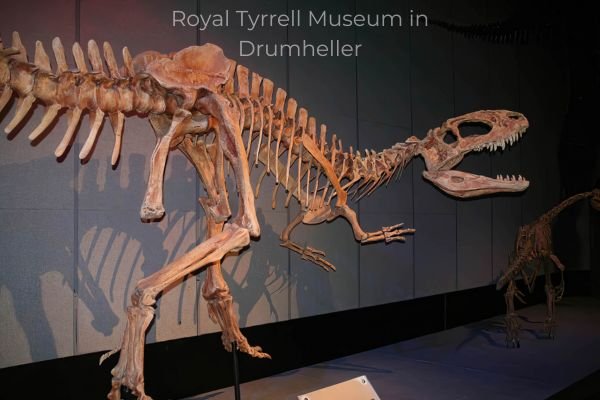 Royal Tyrrell Museum in Drumheller