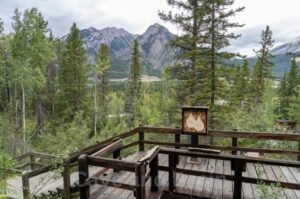 Wooden viewing platform in a forest, featuring a small animal sign at the Cave and Basin National Historic Site. Mountains rise in the background under a cloudy sky.