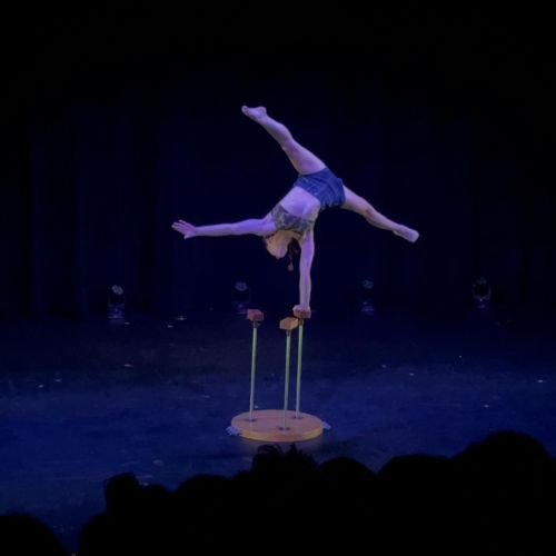 Alberta Circus Arts Festival