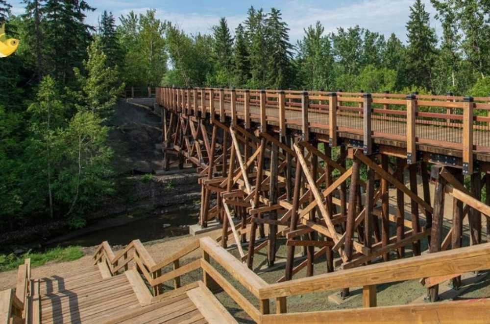 A wooden bridge with railings extends over a small stream in an Edmonton park, surrounded by tall trees. Stairs lead up to the bridge, and the sky is clear with scattered white clouds. Discover this serene scene at Rundle Park, one of the best parks in Edmonton.