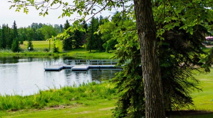 A tranquil pond surrounded by greenery features a floating dock. Trees and grass line the water’s edge, creating a peaceful and serene scene. Truly one of the best parks in Edmonton.