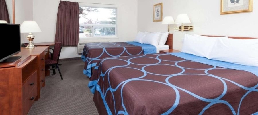 A hotel room with two queen-sized beds featuring brown and blue bedding, a wooden desk with a chair, a TV, and framed artwork on the walls. Perfectly located among hotels near West Edmonton Mall, it also offers a window with curtains for added privacy and comfort.