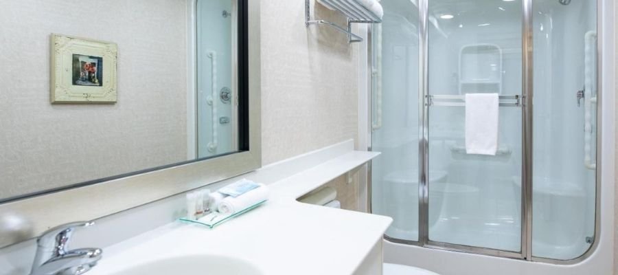 A bathroom with a sink, mirror, and a glass-enclosed shower. A small framed picture hangs on the wall. A towel is draped over the shower door, similar to those in hotels near West Edmonton Mall.