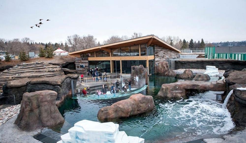         An outdoor aquarium exhibit with a wooden shelter, several pools, rocky structures, and a few visitors viewing marine animals. Five birds are flying in the sky above—a great addition to the attractions in Edmonton Alberta.