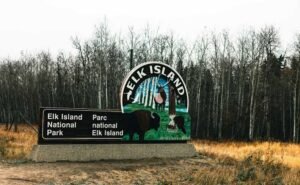 Elk Island National Park —one of the must-see attractions in Edmonton, Alberta.