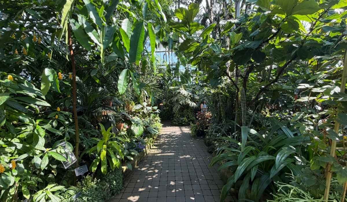 The tropical pyramid at Muttart Conservatory