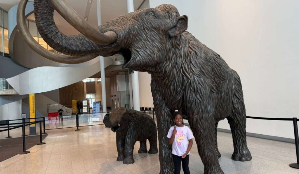 Mercy stands next to life-sized statues of a mammoth at the Royal Alberta Museum