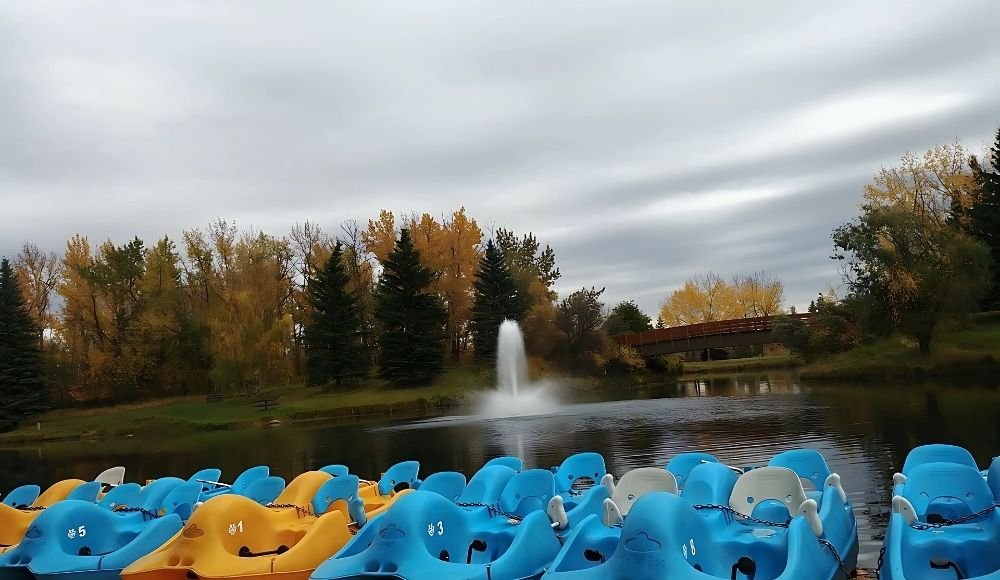 Bower Ponds comes alive with colorful paddle boats docked on a calm lake, where a gentle fountain dances in the background, embraced by a ring of stunning autumn trees.
