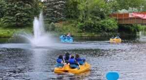 People in pedal boats glide across Bower Ponds, enjoying the serene lake near a fountain, surrounded by lush trees and a charming wooden bridge.