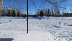 People walking on a snowy field near Bower Ponds, with trees and a small bridge in the background under a clear blue sky.