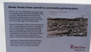 This informational plaque about Bower Ponds in Red Deer details its transformation from a historic sawmill to a vibrant community gathering place, accompanied by a black-and-white photo of the former lumber yard.