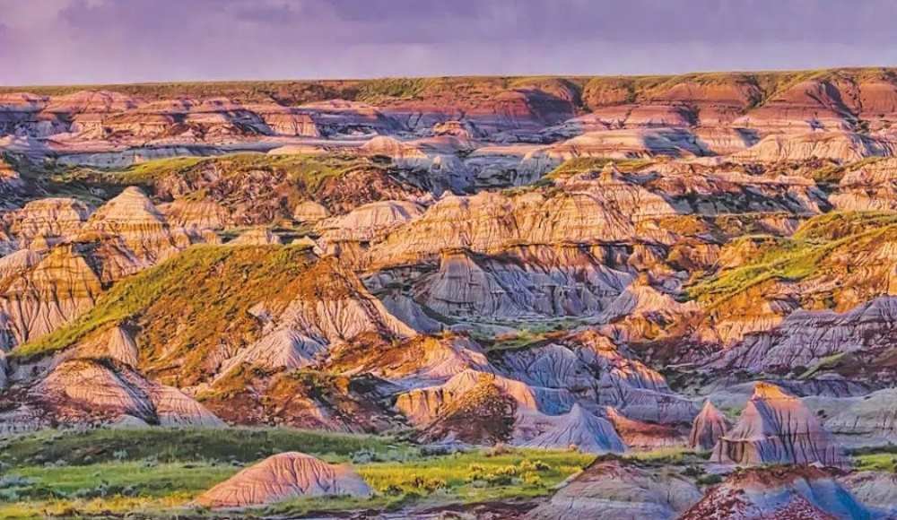 Dinosaur Provincial Park, Alberta