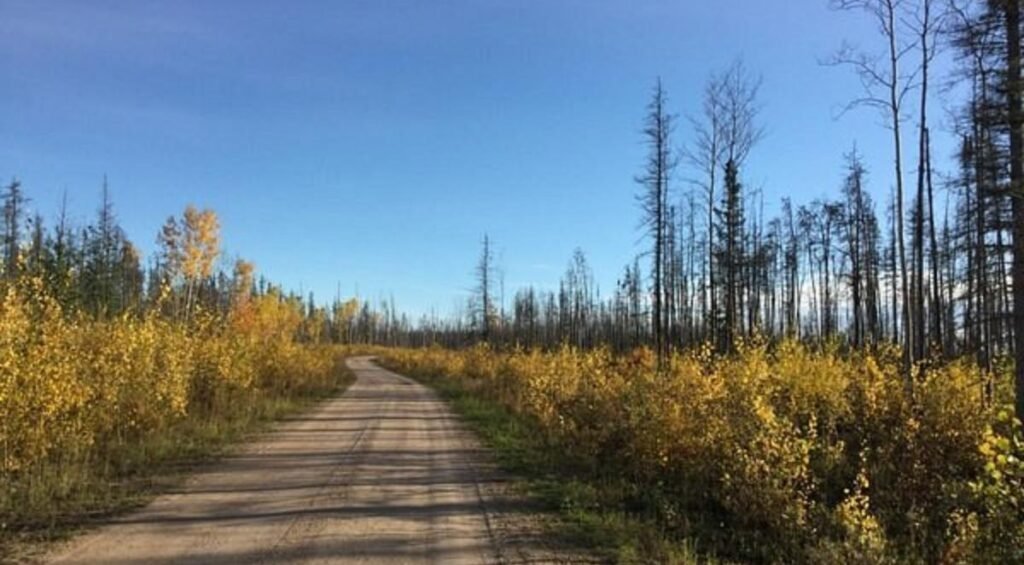 National Parks in Alberta.