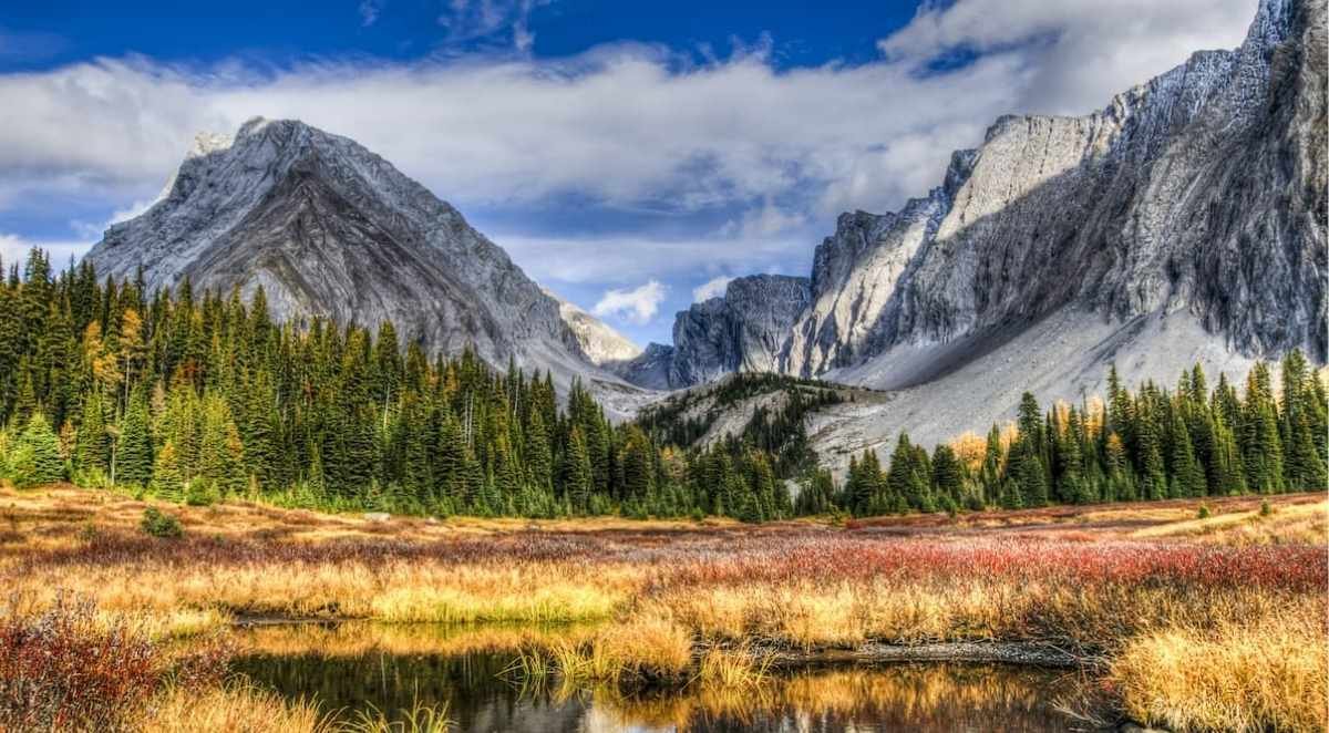 How to Explore Peter Lougheed Provincial Park