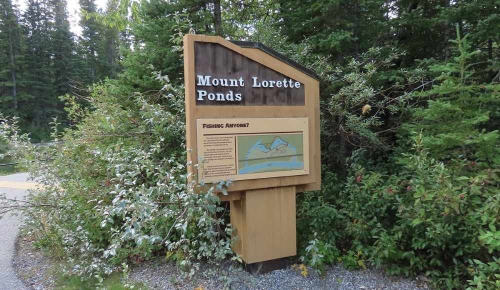 Mt. Lorette Ponds - Peter Lougheed Provincial Park