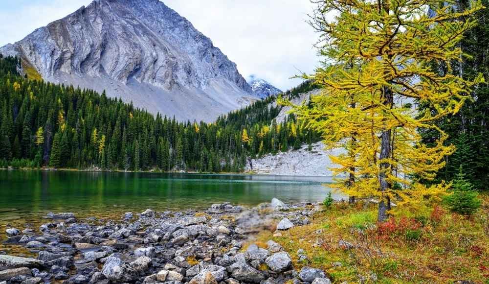 A serene mountain landscape in Peter Lougheed Provincial Park