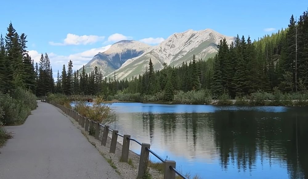 Peter Lougheed Provincial Park as one of the provincial parks in Alberta.