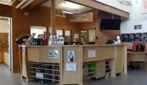 The reception desk, adorned with an "Admission and Information" sign, sits in the lobby area surrounded by brochures and promotional items for Dinosaur Provincial Park.