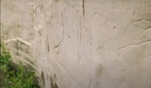 Ancient carvings grace a stone wall nestled amidst lush vegetation, capturing the spirit of Alberta's provincial parks.