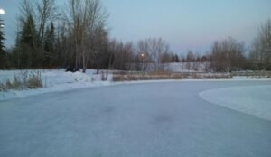 The frozen outdoor ice rink at Bower Ponds is encircled by bare trees and a blanket of snow, all under a clear sky at dusk.