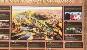 Discover Dinosaur Provincial Park through our informational board, showcasing a detailed map and captivating descriptions. Explore images and labeled trails of this prehistoric wonderland, highlighting its unique attractions. Dive into the park's fascinating history and natural beauty.