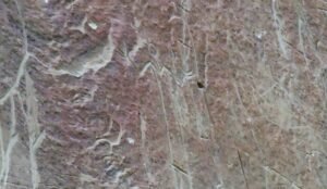 A close-up of a rough, beige and brown stone surface with natural lines and grooves evokes the timeless beauty found in Writing-on-Stone Provincial Park.