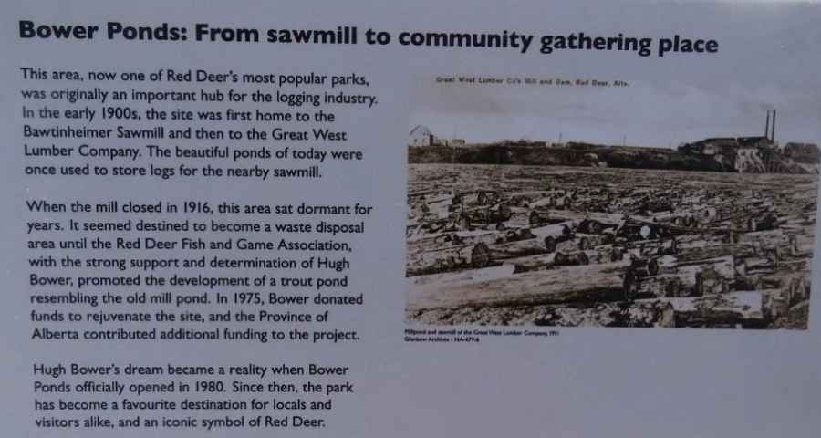 Bower Ponds, Red Deer