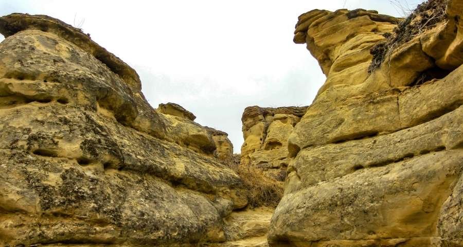 Writing-on-Stone Provincial Park Trail