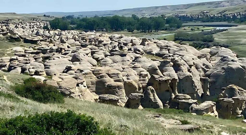 A stunning landscape at Writing-on-Stone Provincial Park showcases numerous sandstone rock formations, lush green vegetation, and a serene river under a clear blue sky. It's essential to know the area's natural beauty is also steeped in rich cultural history.