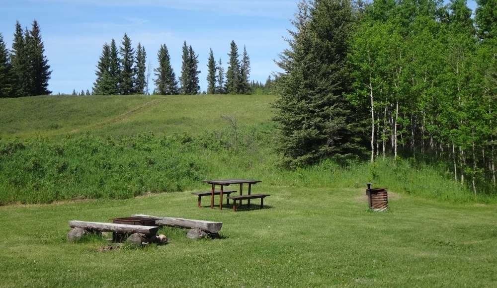 A grassy clearing with a picnic table, fire pit surrounded by seating, and a metal grill. Nestled in Alberta's wilderness camping sites under a clear blue sky, this spot is enveloped by trees and hills.