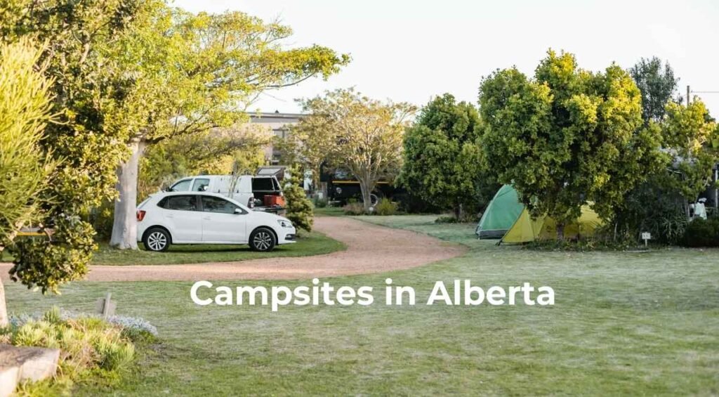 Experience adventure camping in Alberta at this serene campsite, where your vehicle, tents, and trees dot the grassy expanse under a clear sky. Perfectly situated for those seeking camping near Calgary amidst nature’s tranquility.