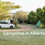 Experience adventure camping in Alberta at this serene campsite, where your vehicle, tents, and trees dot the grassy expanse under a clear sky. Perfectly situated for those seeking camping near Calgary amidst nature’s tranquility.