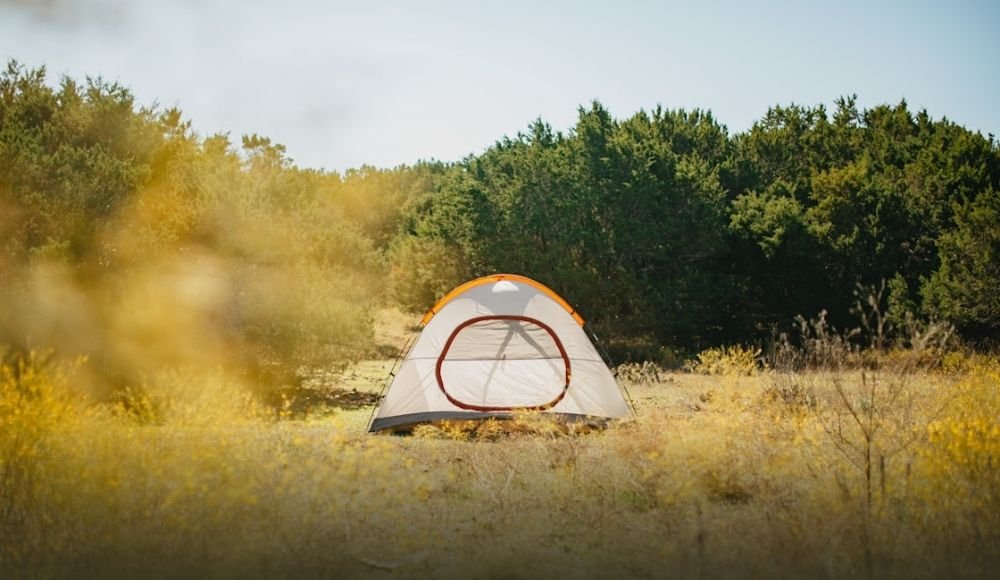 A single tent is set up in a grassy field surrounded by trees under a clear sky, offering an idyllic spot for wilderness camping in Alberta's stunning landscapes.