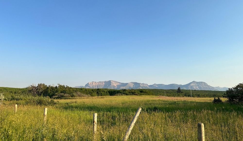 Wide grassy field with a wooden fence in the foreground and distant mountains under a clear blue sky in the background, perfect for trail guides exploring outdoor activities.