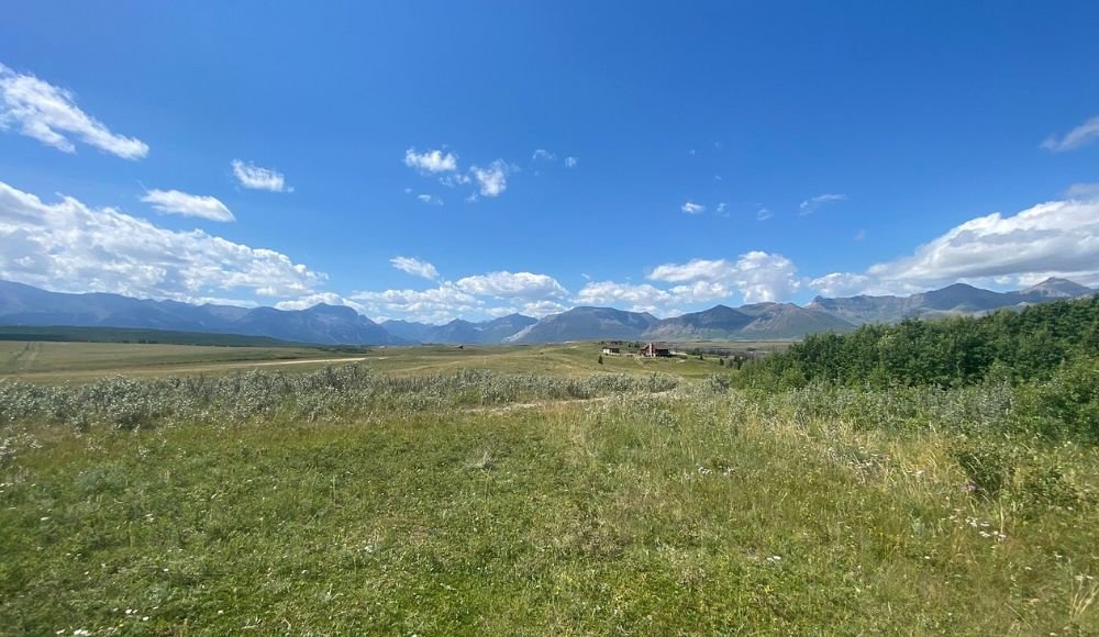 A grassy field under a bright blue sky with scattered clouds, bordered by distant mountains, captures the serene beauty of Camping at Waterton National Park.