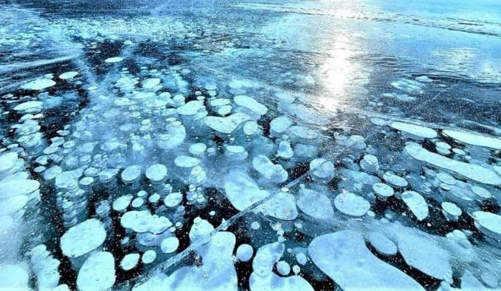 Frozen surface of Abraham Lake with trapped methane bubbles visible beneath the clear ice, reflecting sunlight.
