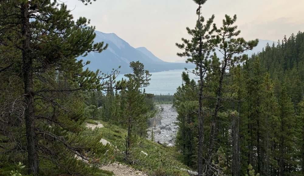 Pine trees line the foreground as a rocky path winds through the picturesque Hoodoo Creek Trail, guiding you to a distant lake. Majestic mountains rise under a hazy sky, creating a serene backdrop for your journey.