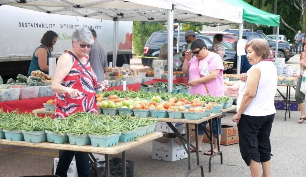 Shoppers meander through the Red Deer Farmers Market, where vibrant tomatoes and crisp green beans gleam under the open sky, inviting locals to savor farm-fresh flavors.
