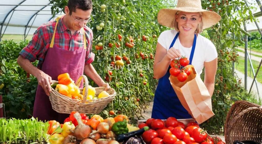 Red Deer Farmers Markets