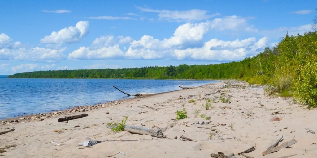A sandy beach with scattered driftwood, bordered by green trees, under a blue sky with scattered clouds. Calm water, typical of the best lakes in Alberta, is visible along the shoreline.