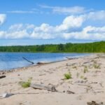 A sandy beach with scattered driftwood, bordered by green trees, under a blue sky with scattered clouds. Calm water, typical of the best lakes in Alberta, is visible along the shoreline.