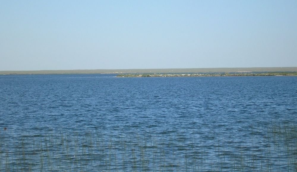 Lake Newell