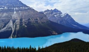 Peyto lake, considered one of the best lakes in Alberta.