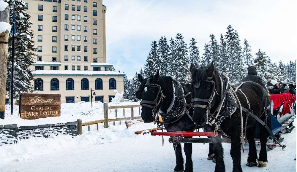 Horse-Drawn Sleigh Ride Lake Louise