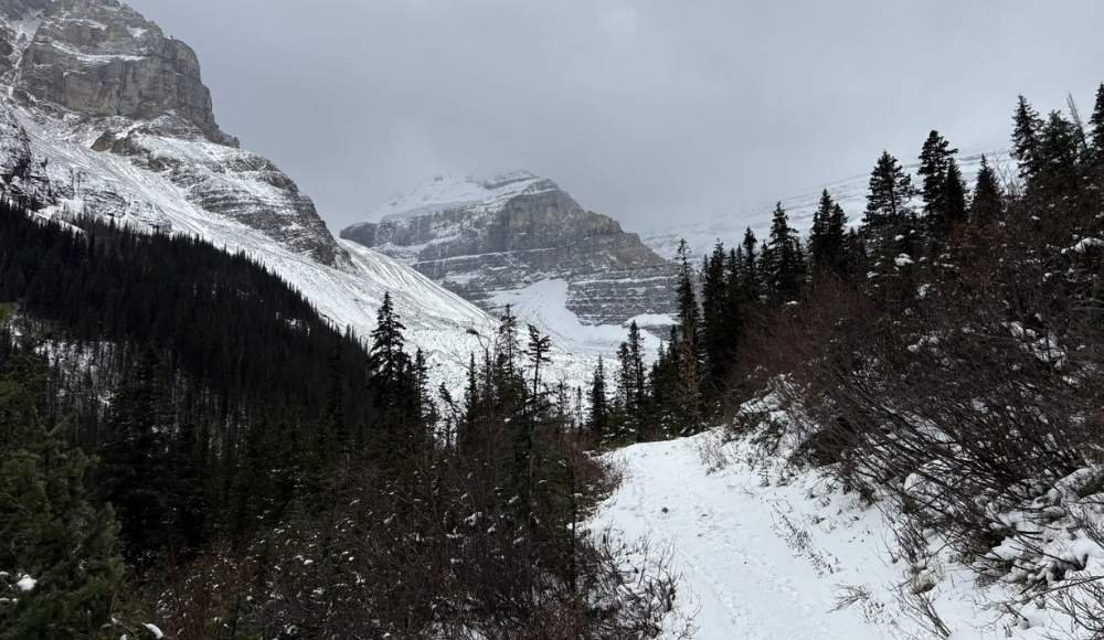 Plain of Six Glaciers—a scene reminiscent of the top things to do in Lake Louise.