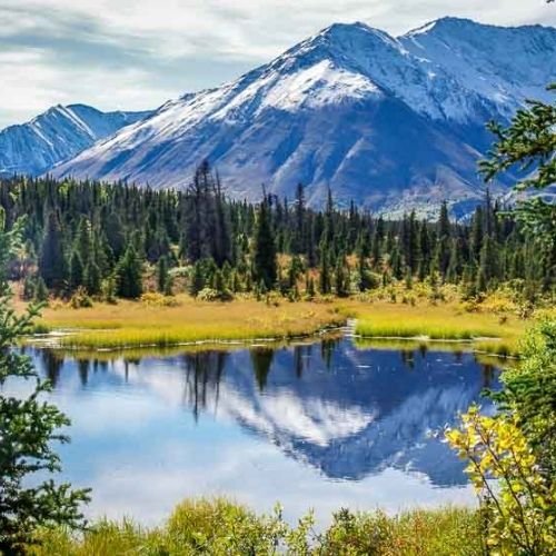 1 summer new Snow-capped mountains reflected in a calm lake, surrounded by evergreen trees and grassy vegetation under a clear sky—a scene you'll find when you learn how to get to Banff National Park.