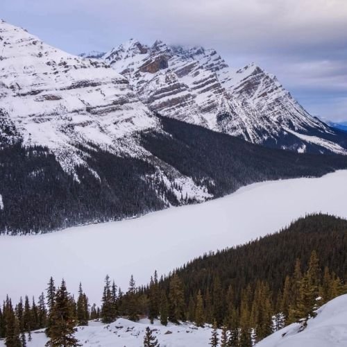 1 winter new Snow-covered mountains rise above a frozen lake in Banff National Park, with pine trees in the foreground under a cloudy sky. Discover how to get to Banff National Park and experience this stunning winter landscape for yourself.