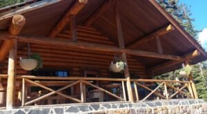 A wooden log cabin with a stone foundation, covered front porch, hanging potted plants, railing, and trees in the background—perfectly reminiscent of the rustic charm found along the Lake Agnes Tea House Trail.