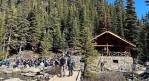 Hikers gather near a stone and wood cabin surrounded by tall pine trees along the Lake Agnes Tea House Trail in a forested area on a sunny day.